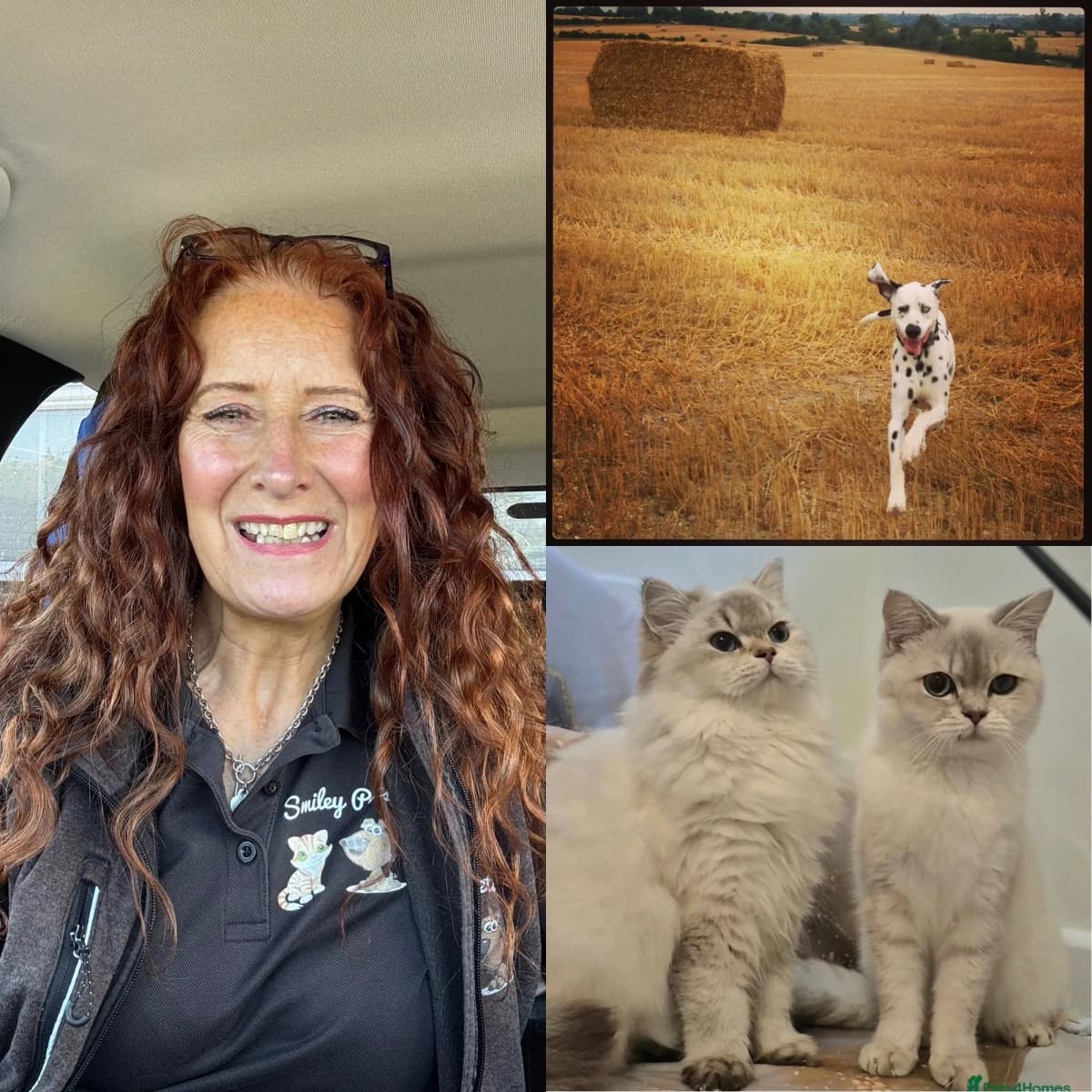 Happy pets cared for by Smiley Pets